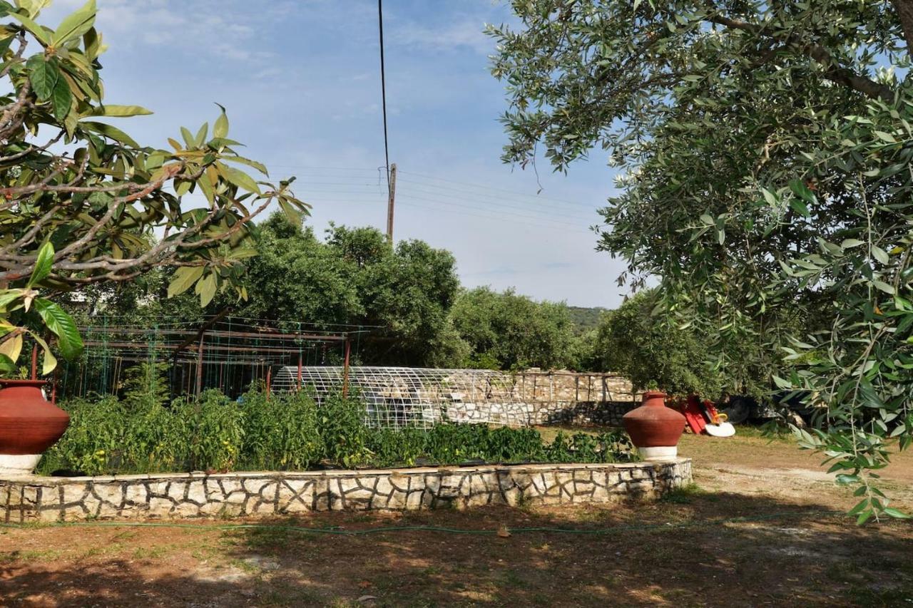 Penelope'S House Villa Skala Kallirakhis Ngoại thất bức ảnh